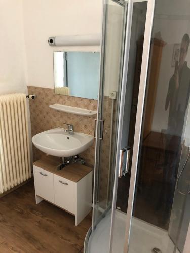 a bathroom with a sink and a shower at Hotel Stadt-Lindau in Neu Ulm
