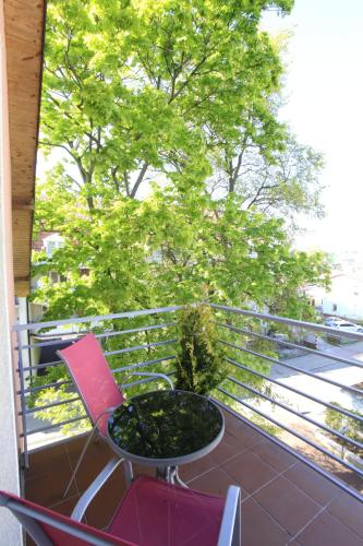 a table and a chair on a balcony with a tree at Willa Park Międzyzdroje in Międzyzdroje