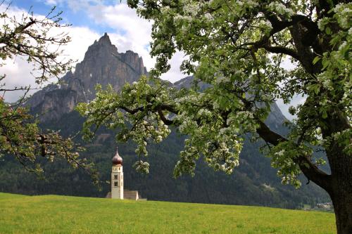 a clock tower in a field with a mountain in the background at Schwarzer Adler in Siusi