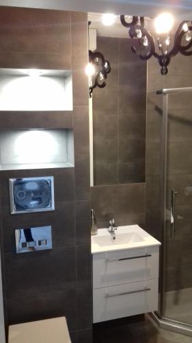 La salle de bains est pourvue d'un lavabo et d'une douche. dans l'établissement Apartament LUX w centrum Konina, à Konin