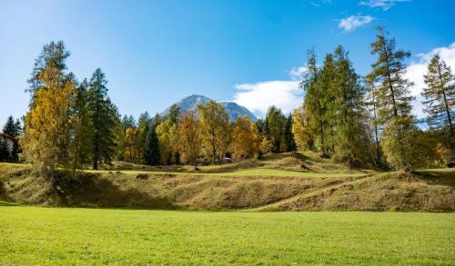 a field with trees and a mountain in the background at Haus Sonnenweg in Leutasch
