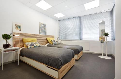 Chloe Boutique Apartments Apollo