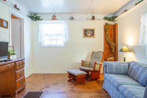 uma sala de estar com um sofá e uma televisão em The Chimney Rock Inn & Cottages em Chimney Rock