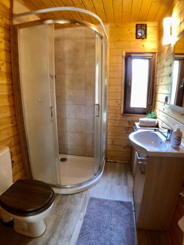 a bathroom with a shower and a toilet and a sink at Pod lipą in Ruciane-Nida