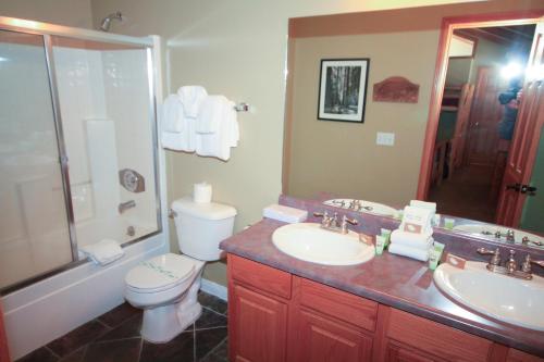 a bathroom with a toilet and a sink and a shower at Mammoth Ski & Racquet Club #70 in Mammoth Lakes