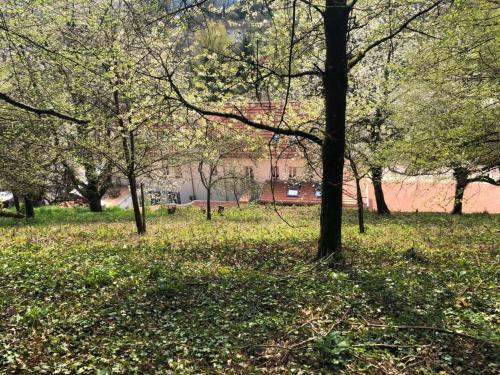 Giardino di Trasse Belge