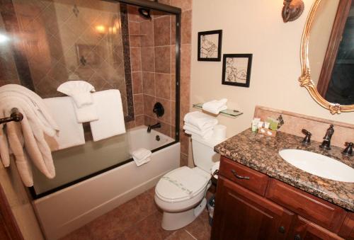 a bathroom with a toilet and a shower and a sink at Mammoth Ski & Racquet Club #34 in Mammoth Lakes