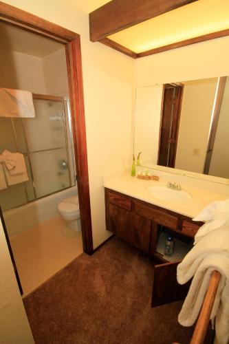 a bathroom with a sink and a toilet and a mirror at Discovery 4 153 in Mammoth Lakes