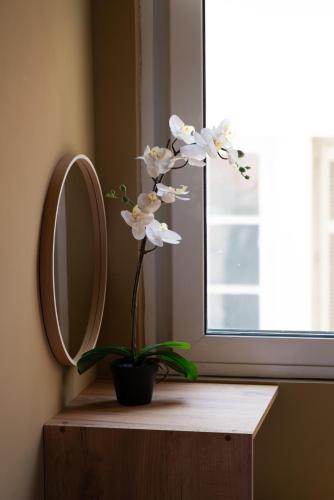 a plant sitting on a table next to a mirror at HOTEL_TIER in Athens