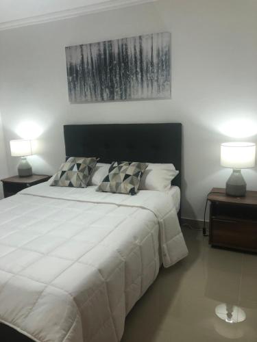 um quarto com uma grande cama branca e 2 candeeiros em Apto a pasos de la playa y restaurantes em Santa Marta
