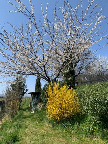 Jardín al aire libre en Appartamento TieMi