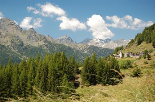 a valley with trees and mountains in the background at Hotel Ristoro Vagneur in Saint Nicolas