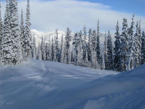 Trickle Creek Lodge en invierno