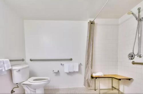 a white bathroom with a toilet and a shower at Motel 6 Dallas - Fair Park in Dallas