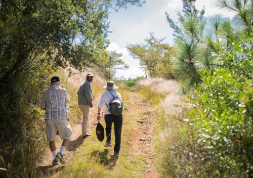 three people walking down a dirt road at Casa Estrella de la Valenciana Hotel Boutique in Guanajuato