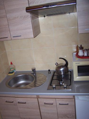 a kitchen with a sink and a tea kettle on a stove at Gospodarstwo agro Nad Kamienną in Bałtów