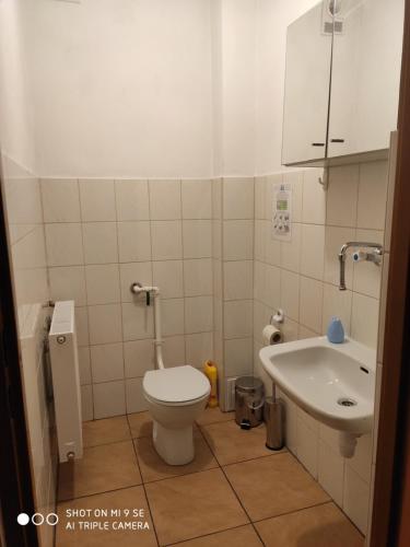 La salle de bains est pourvue de toilettes et d'un lavabo. dans l'établissement Osada Włościańska, à Ojców