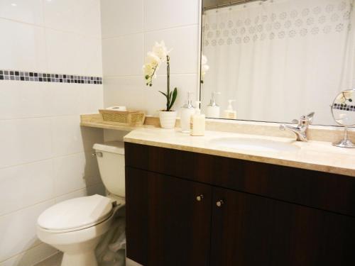 a bathroom with a toilet and a sink and a mirror at Apartamentos Terrazas de Talca in Talca