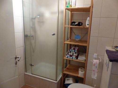 a shower with a glass door in a bathroom at Vis-a-vis-Berliner-Tor in Schwerin