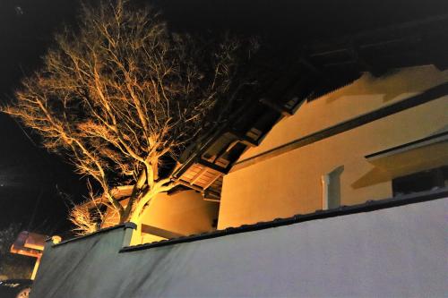 a tree sitting on the side of a building at 熱海の海が一望できる温泉付貸別荘 満月あじろ mitsukiajiro in Atami