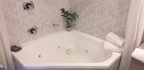 パーマストンノースにあるShadzz Motelのバスルーム(鉢植えのバスタブ付)