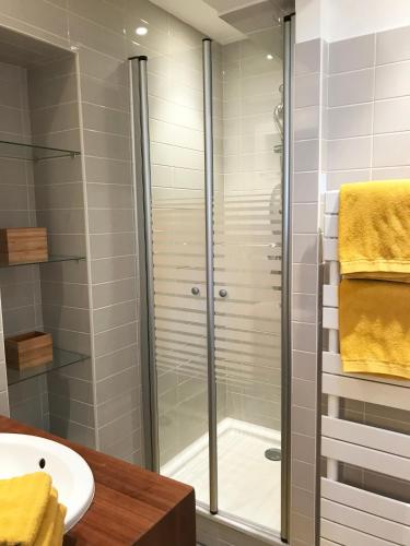 une salle de bain avec douche et lavabo dans l'établissement Appartement Plage Calme Centre 4personnes St Jean de Luz, à Saint-Jean-de-Luz