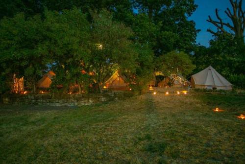 a group of tents in a field at night at Into the Green Glamping - Chestnut in Markt Nordheim