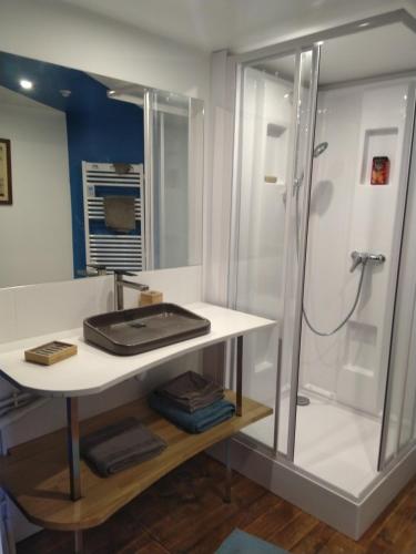 une salle de bain avec un lavabo et une douche dans l'établissement Les charmantes pierres percées, à Ploumilliau