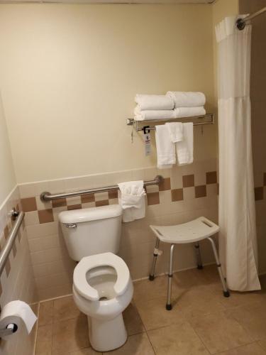a bathroom with a white toilet and towels at AmericInn by Wyndham Thief River Falls in Thief River Falls