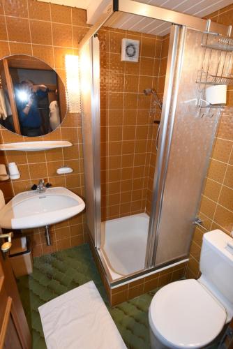 a bathroom with a shower and a toilet and a sink at Hotel Klausen in Pill