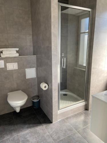 a bathroom with a shower and a toilet at La Résidence de l'Orangerie in Strasbourg