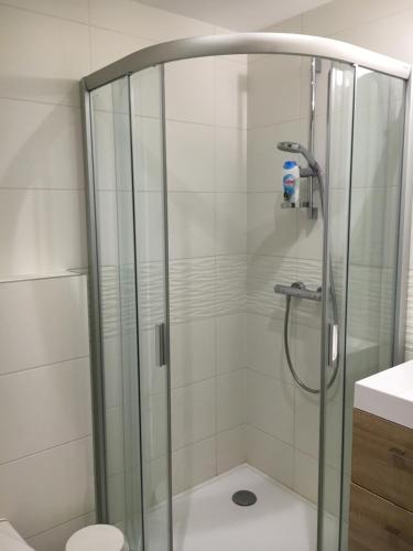 a shower with a glass door in a bathroom at Aqua Apartman Superior in Velence