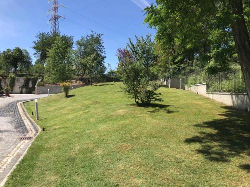 a grassy field with trees on the side of a road at B&B Oasi Vetoio in LʼAquila