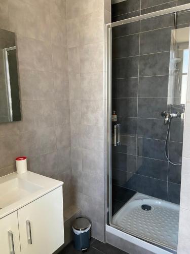 a bathroom with a shower and a sink at La Résidence de l'Orangerie in Strasbourg