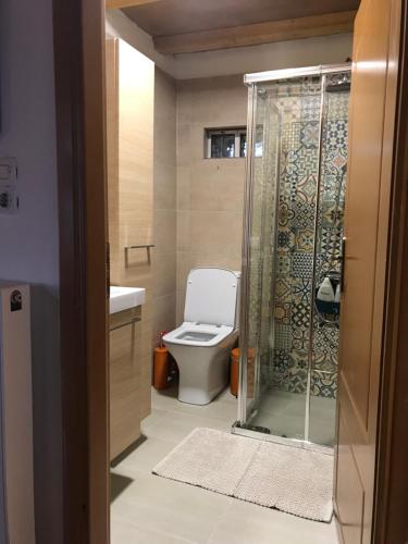 a bathroom with a toilet and a glass shower at The House in the Cobbled Road in Karpenision