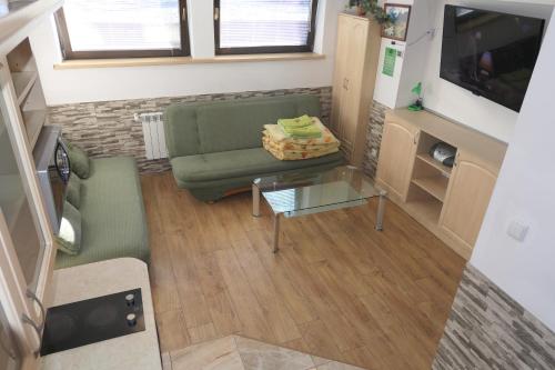 a living room with a green couch and a glass table at Apartamenty u Łukasza in Zakopane
