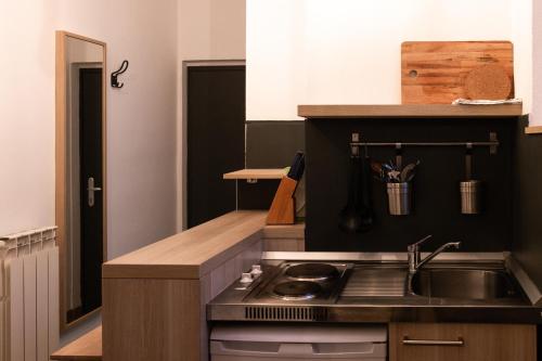 eine Küche mit einer Spüle und einer Arbeitsplatte in der Unterkunft Apartments Museum in Koper