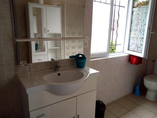 ein Badezimmer mit einem Waschbecken, einem Spiegel und einem WC in der Unterkunft Gîte Etxe Xuri in Ossès