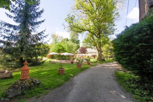 a gravel road in a yard with trees at Domaine de La Couture in Évaux-les-Bains