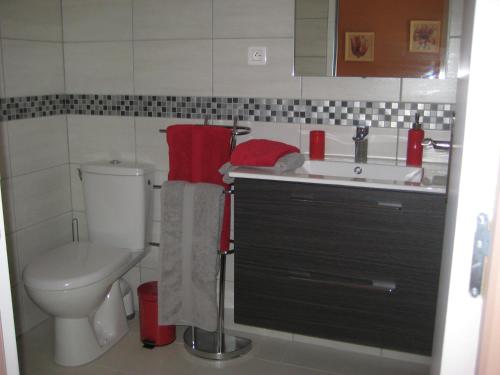 a small bathroom with a toilet and a sink at Les Egals in Saint-Jean-du-Bruel