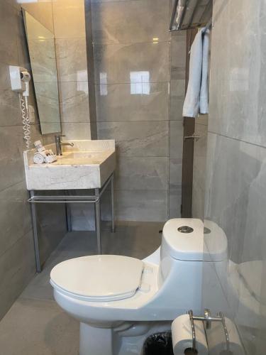 a bathroom with a toilet and a sink at Suites Lerma 205 in Mexico City
