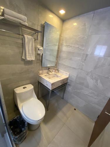 a bathroom with a toilet and a sink at Suites Lerma 205 in Mexico City