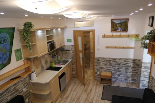 a kitchen with a sink and a counter top at Apartamenty u Łukasza in Zakopane