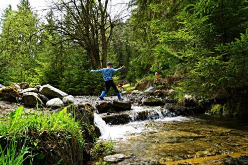 a person standing on rocks in a stream at Chata Bačova skala in Liptovský Ján
