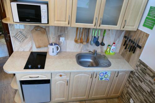 a small kitchen with a sink and a microwave at Apartamenty u Łukasza in Zakopane
