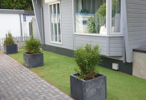 Κήπος έξω από το Chalet nr 30 in Putten