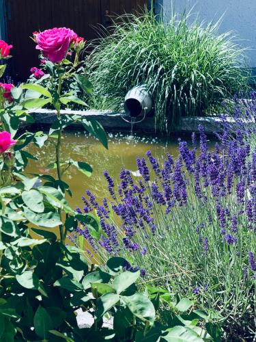a garden with a pond with flowers and a bird bath at Ferienwohnung-Mühlviertel in Oepping