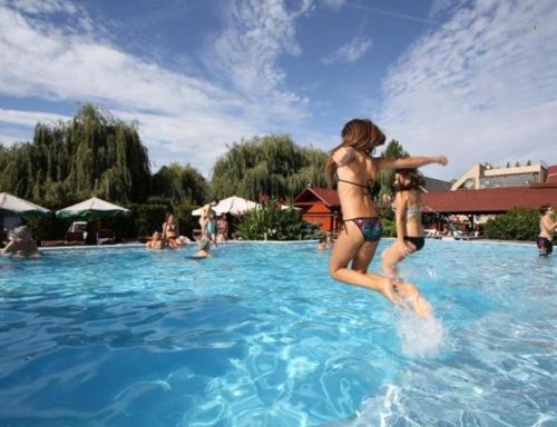 Hosté ubytování Piknik Wellness Hotel