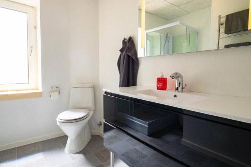 a bathroom with a white toilet and a sink at Købmandsgården 2 in Sæby