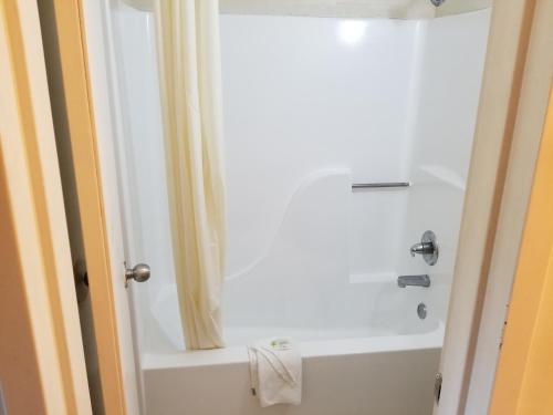 a bathroom with a tub and a shower with a sink at American Inn Chesapeake - Portsmouth in Chesapeake
